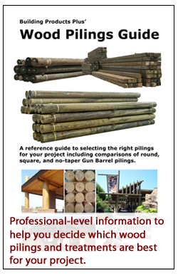 Wood Pilings Guide Flyer