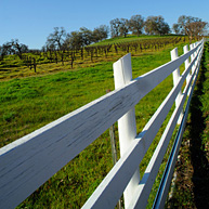 White fence boards