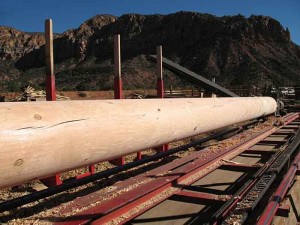 Doug fir pole no taper