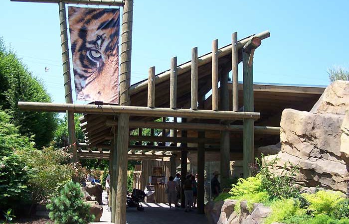 Gun Barrel pilings supporting a zoo structure