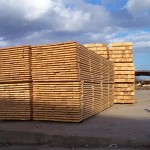 lumber-on-sticks-BIG