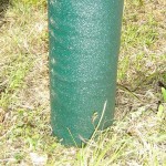Polymer coated fence post to last decades.