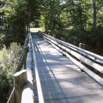timber-bridge-poles-BIG