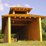 timbers-pilings-elephant-house-BIG