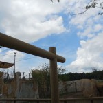 BPP Lumber Prodcuts at Columbus Zoo-23