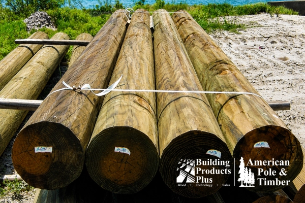 gulf coast piling requirements gun barrel pilings uniform diameter marine grade