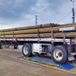 Gun Barrel Pilings on truck bed, ready to be shipped out.