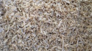 closeup of pine shavings for animal bedding, for horses, cows, goats, and other animals